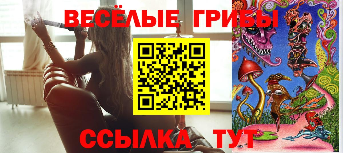 Псилоцибиновые грибы мицелий Шарыпово